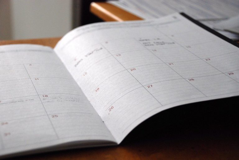 day planner, calendar, organizer-828611.jpg